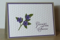 predominantlypurple2