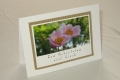 blumenkarten4