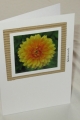 blumenkarten8