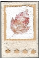 naturkarte1