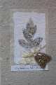 naturkarte2