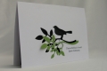 schattenvogel