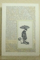 tapetkarteasia1