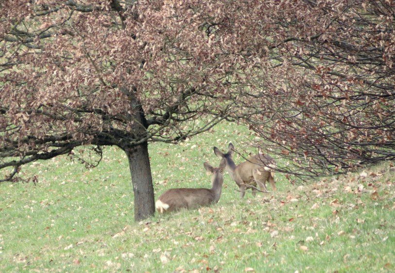 Ostern2013_d