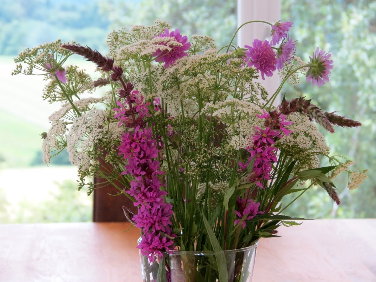 wiesenblumen2013_1c