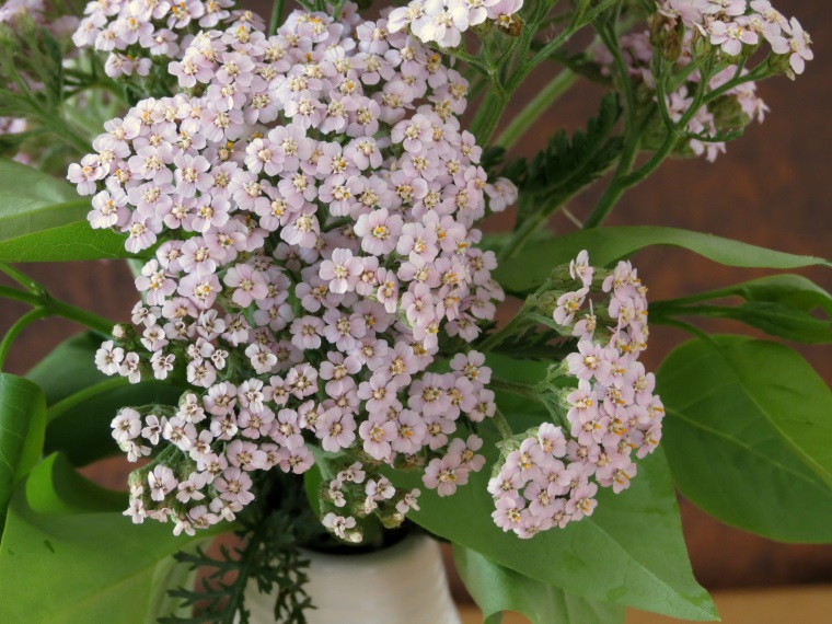 fridayflowerday_2d