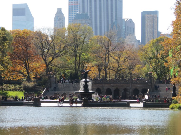 New York (9)