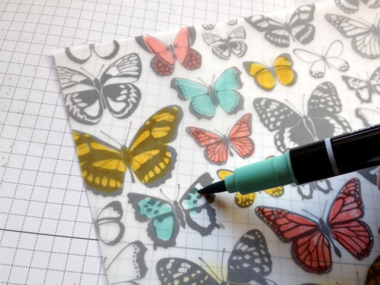 kolorieren vellum (1)