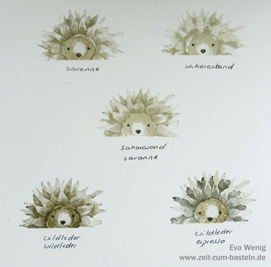 Der ultimative Sonnenblumen-Guide - www.zeit-zum-basteln.de (Herbstanfang, Stampin Up)