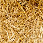 Basteltipp Nr. 8 – Aufbewahren von Stempeln