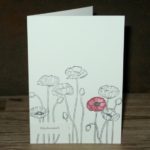 LIM – week 101 –  Black and white