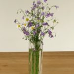 Noch mehr Wiesenblumen