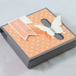 Schmetterlingsbox