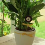 Manchmal braucht es nur eine Kleinigekeit