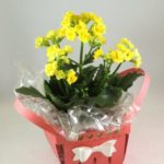 Lauter kleiner Schätze