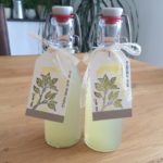 Erfischend – Zitronen-Minz-Siurp