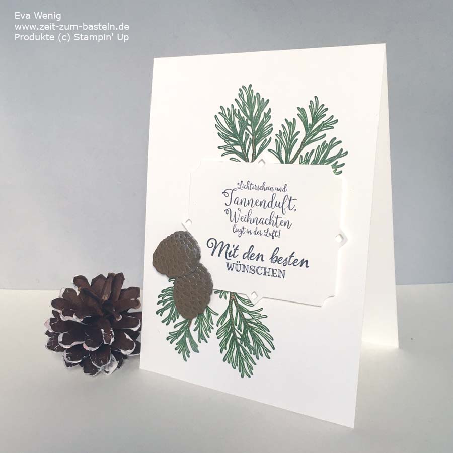 Edle Weihnachtskarte mit Friedvolle Zweige von Stampin Up