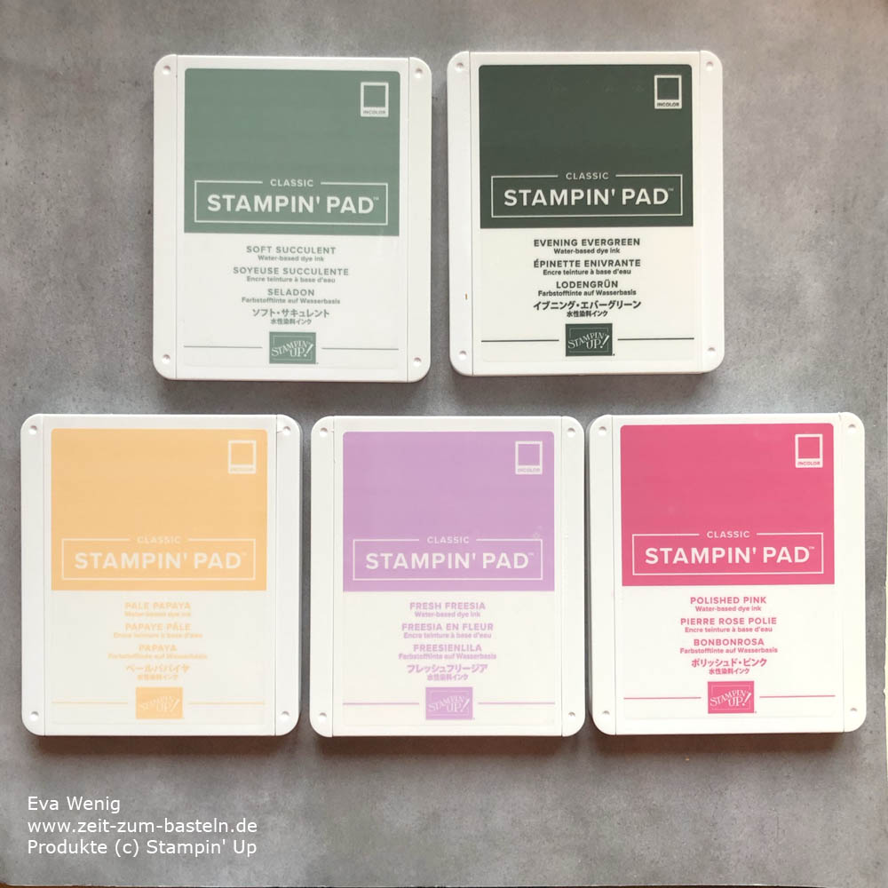 InColor 2021-2023 Stampin Up