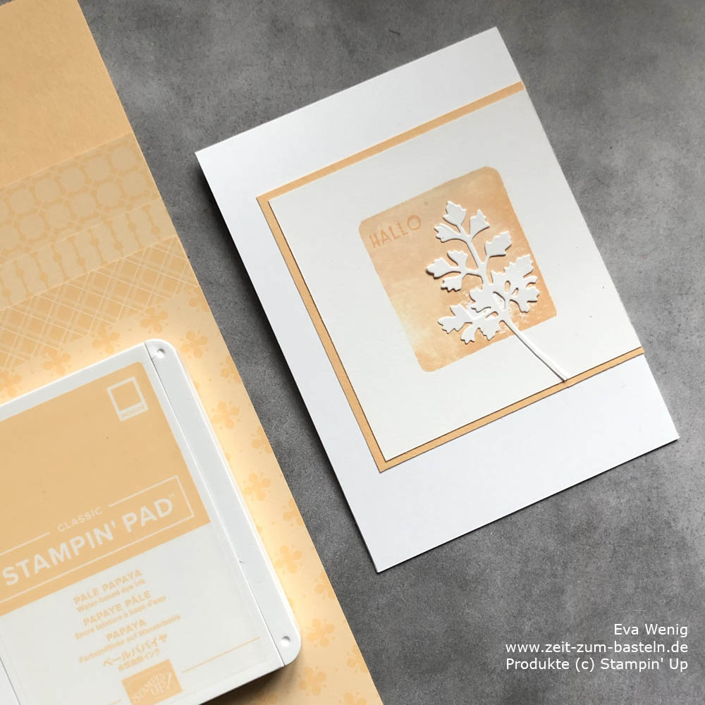 InColor 2021-2023 Stampin Up Papaya